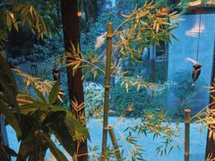 -君庭中餐厅(友谊宾馆店)