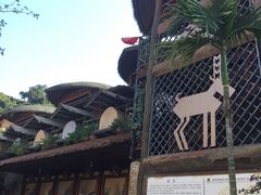 -海南槟榔谷黎苗文化旅游区