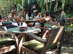 -Fern Forest Cafe