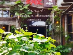 -城墙外BAR