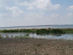 -七的湖·晚芳亭·阳澄湖农家菜·大闸蟹(莲花岛店)