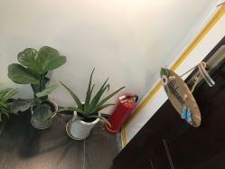 -瞳孔摄影(植物园路店)