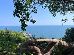 -放鸡岛生态旅游国际度假区