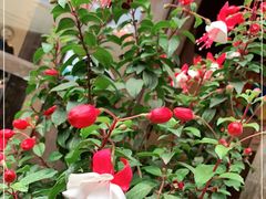 -小厨子私房菜·云南美食店