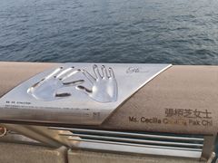 -星光大道