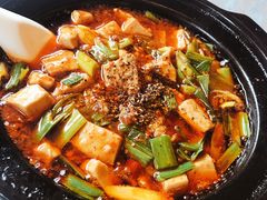 -陈麻婆豆腐总店