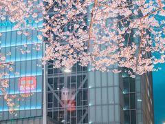 -蛙喔炭烧牛蛙(盐城盐都万达店)