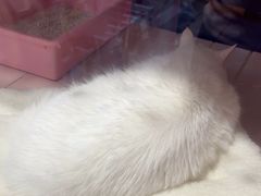 -FAELING PETS美天灵宠物(富力广场店)