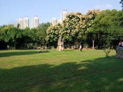 -汉水公园