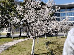 -南京中医药大学(仙林校区)