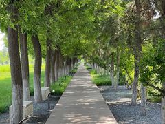 -汉长安城未央宫国家考古遗址公园