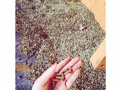 -猎鹰谷实弹射击俱乐部