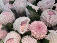 -朝来春花卉市场
