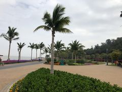 -野狸岛
