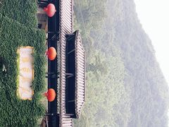 -藏龙百瀑风景区