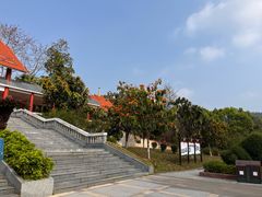 -大屏嶂森林公园