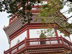 -分塔山省级森林公园