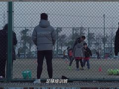 -春花秋色城市公园