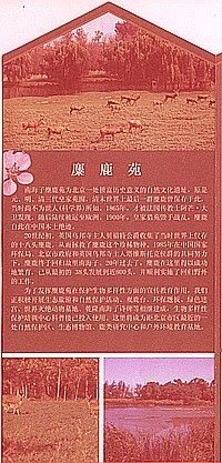 -北京麋鹿生态实验中心