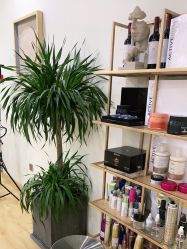 -涩谷· Hair Salon