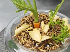 -芷兰汀艺术概念餐厅