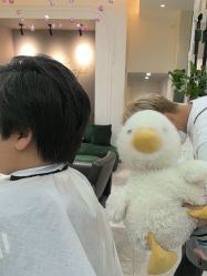 -爱维丽