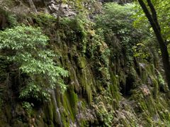 -后柳水乡