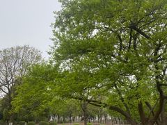 -南京市江宁方山
