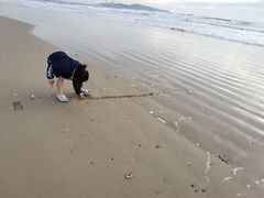 -六鳌翡翠湾滨海度假景区