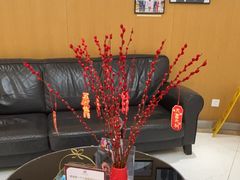 -雅悦齿科(顾村公园店)