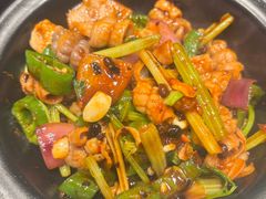 -羽鸽集·乳鸽专门店·地道顺德菜(岭南站店)