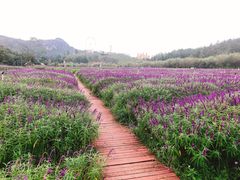 -哒啦仙谷旅游景区