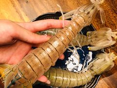 -霞涌市场海鲜摆卖区