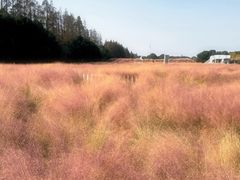 -嘉北郊野公园