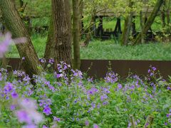 -西湖风景区-江洋畈生态公园