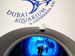 -迪拜水族馆及水下动物园