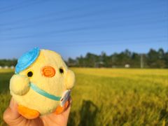 -低涌(地铁站)