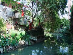 -小洲村