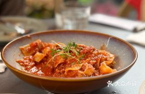 Italian Tomato Sauce Beef Short Rib Wide Noodles