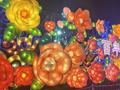 -第35届青岛国际啤酒节