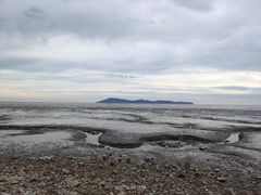 -大鹿岛