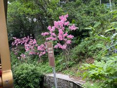 -深圳东部华侨城茵特拉根酒店