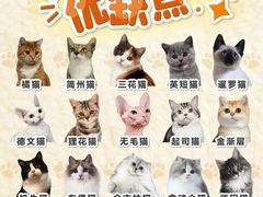 -翊宠yipet猫狗购宠庄园犬舍•猫舍