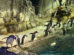 -成都浩海立方海洋公园