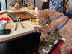 -红鼎坊·老成都火锅(新南门店)