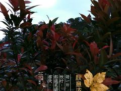 -火炉山森林公园
