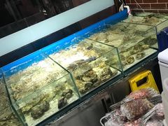 水产区-胖姐活羊烧烤家乡菜(刘家桥店)