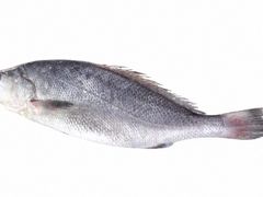 -妈妈菜舟山海鲜(定海古城店)