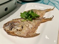 -怡海苑餐厅·厦门滨海悦华酒店