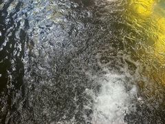-万泉河漂流